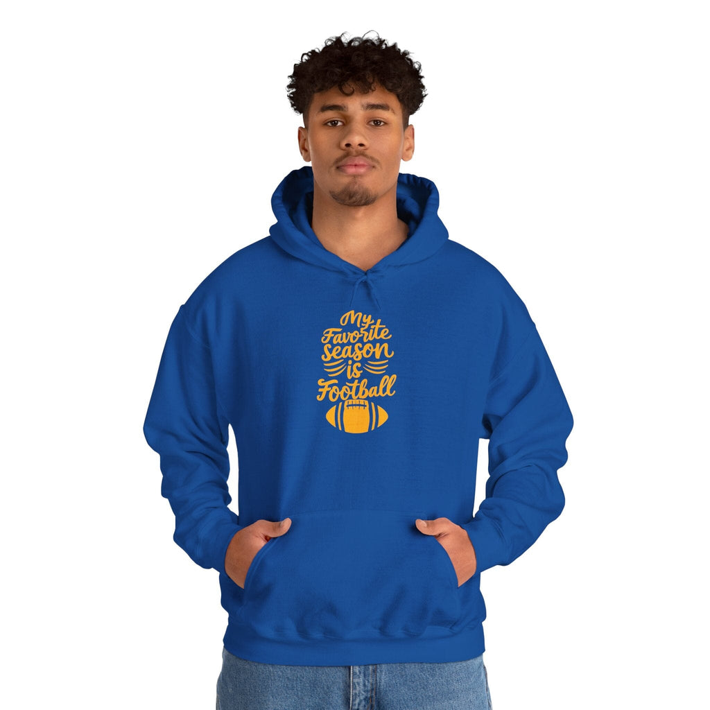 My Favorite Season Is Football Hoodie Steelers football hoodie product image | Yinzergear