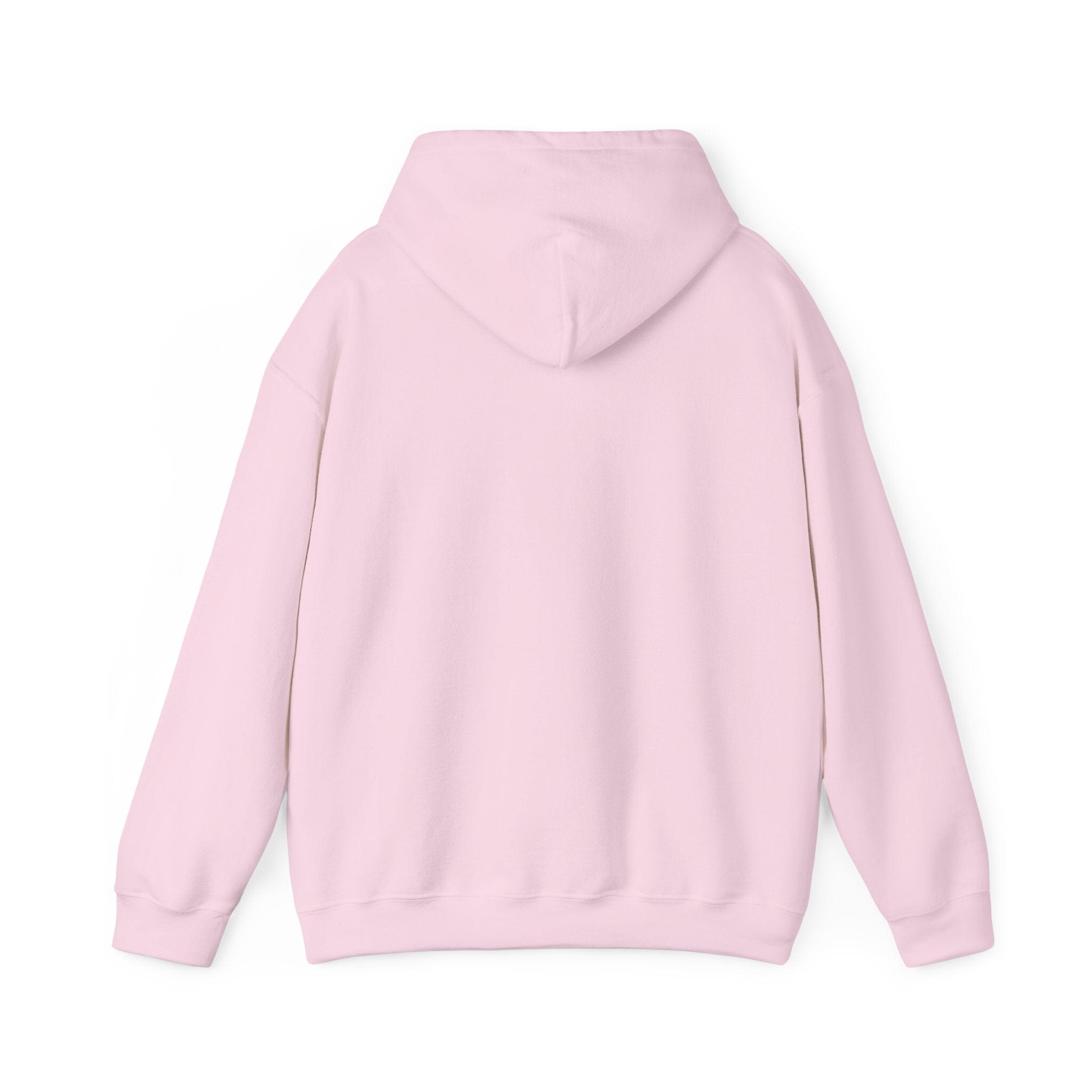 Jeet Jet Pittsburghese Hoodie product image alternate view 13 | Yinzergear