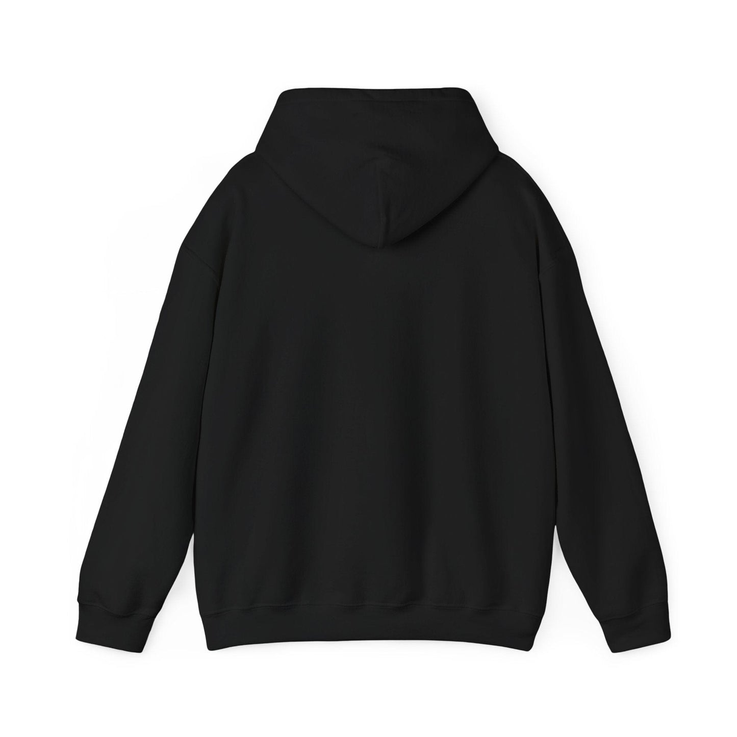Redd Up Hoodie - Pittsburgh Slang Dictionary Definition Hoodie Printify 