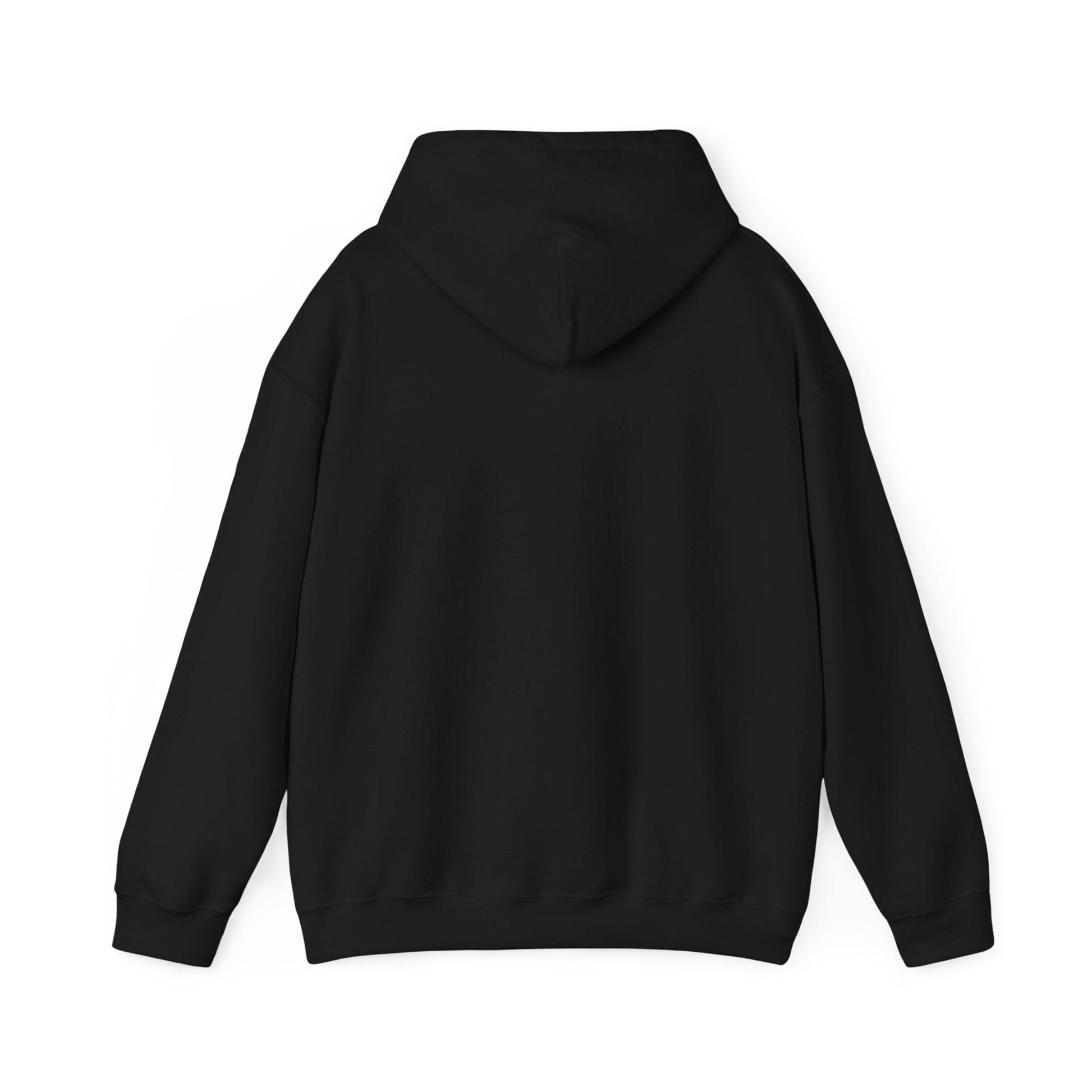 Redd Up Hoodie - Pittsburgh Slang Dictionary Definition Hoodie Printify 