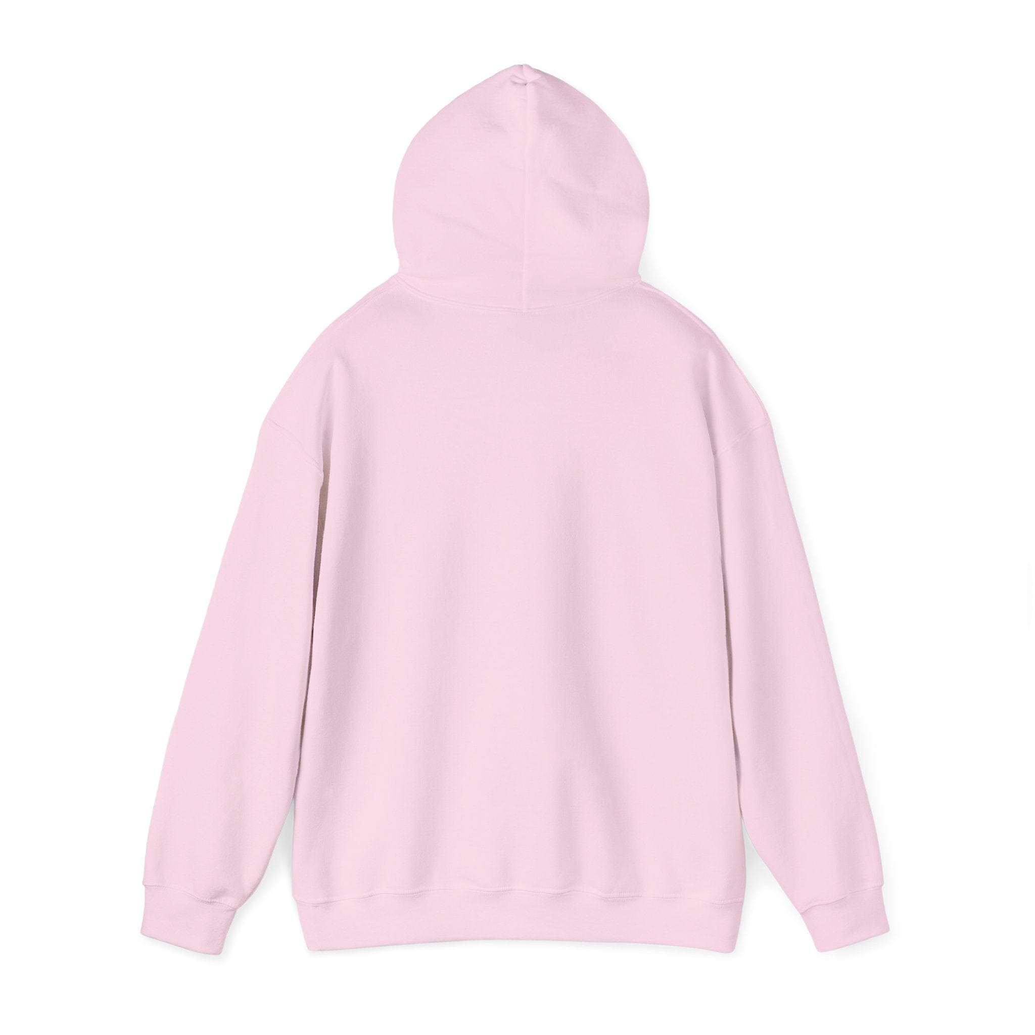 Jeet Jet Pittsburghese Hoodie product image alternate view 14 | Yinzergear