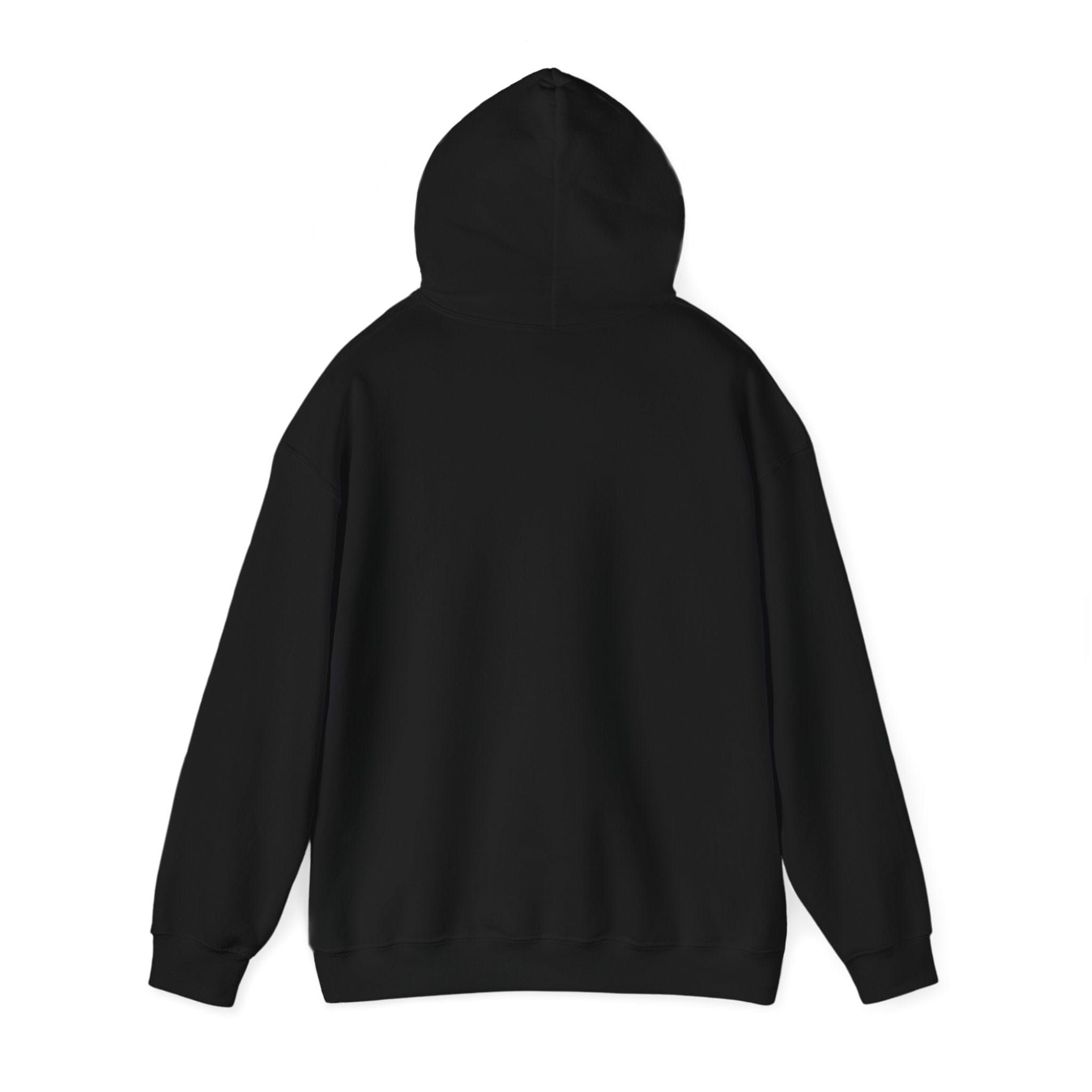 Jeet Jet Pittsburghese Hoodie product image mockup view | Yinzergear