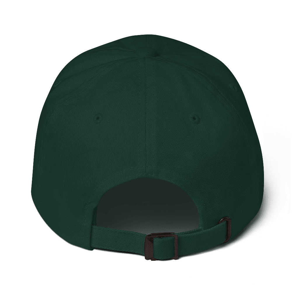 Don't Be a Jagoff hat Pittsburgh hat product image mockup view | Yinzergear