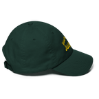 Don't Be a Jagoff hat Pittsburgh hat product image alternate view 3 | Yinzergear